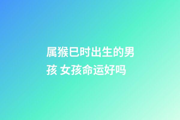 属猴巳时出生的男孩 女孩命运好吗